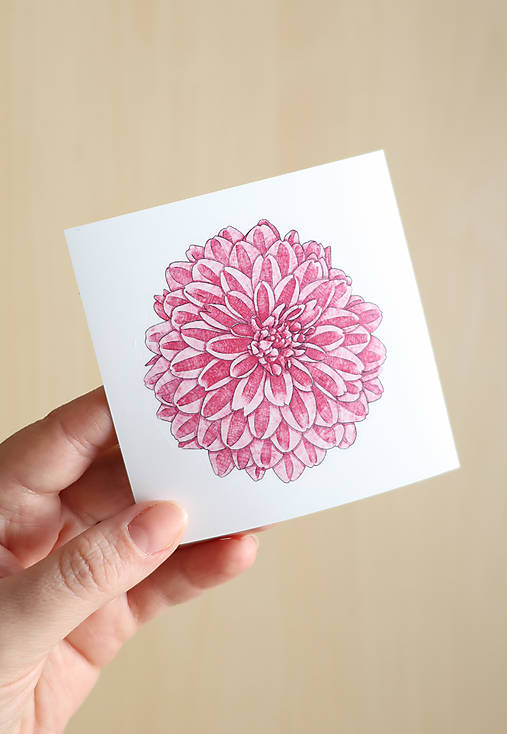 Samolepka - kvet - Chryzantéma