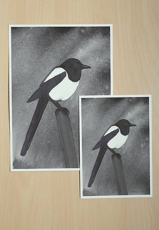 Print - Tam kde sedia straky