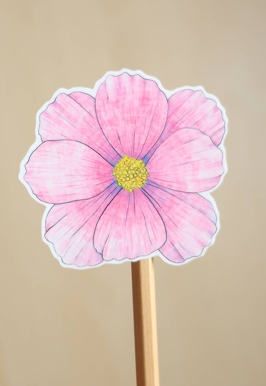 Samolepka - kvet - Krasuľka