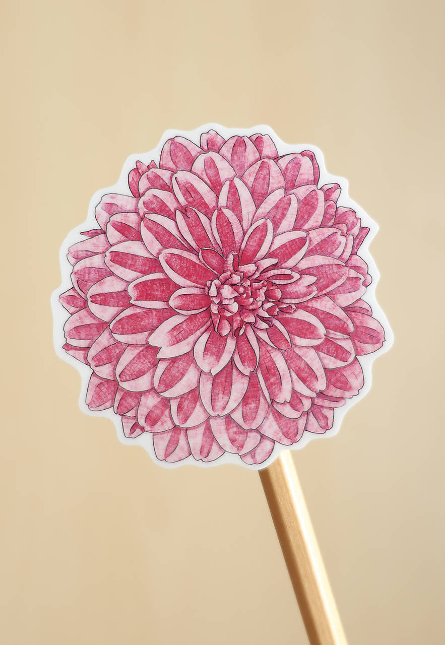 Samolepka - kvet - Chryzantéma