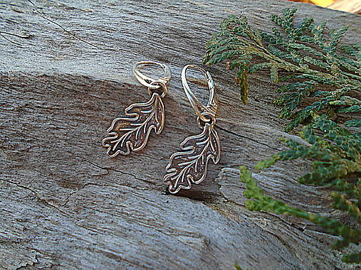 Strieborné náušnice Ag925 Listy