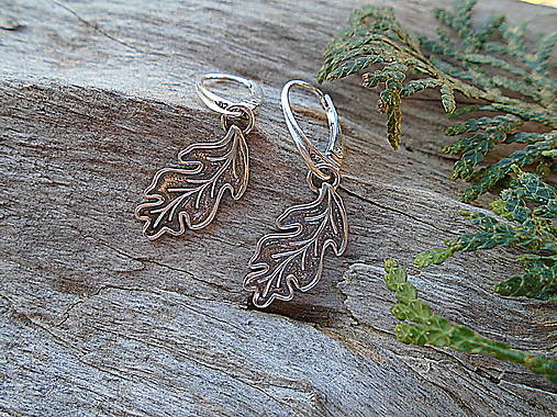 Strieborné náušnice Ag925 Listy