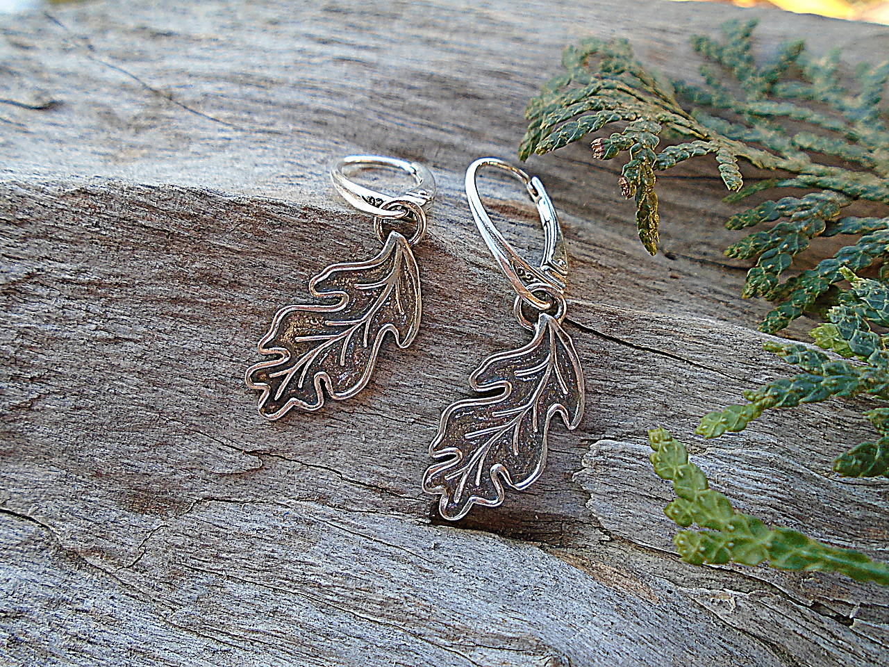 Strieborné náušnice Ag925 Listy