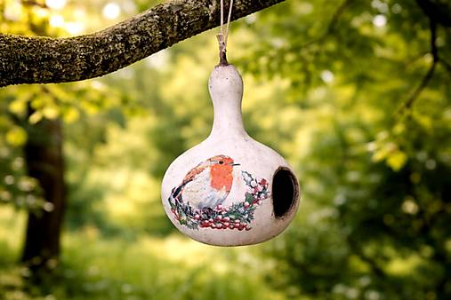 Pre zvieratá - vtáčia búdka z tekvice - 18120466_