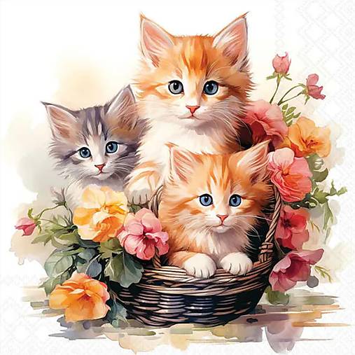 Papier - Servítka D 244 - 18123163_