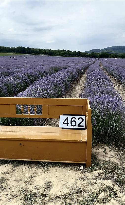 Tabuľky - Číslo na dom: Avangard - 18121149_