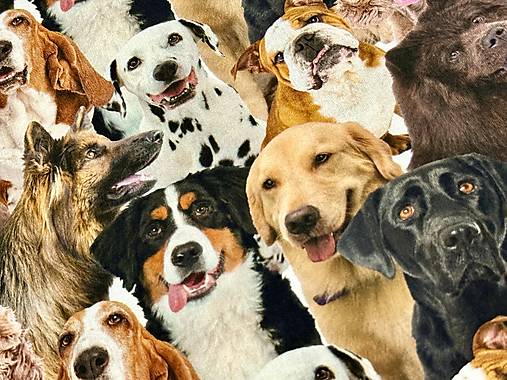 100% BAVLNA 3D/ PSÍKY