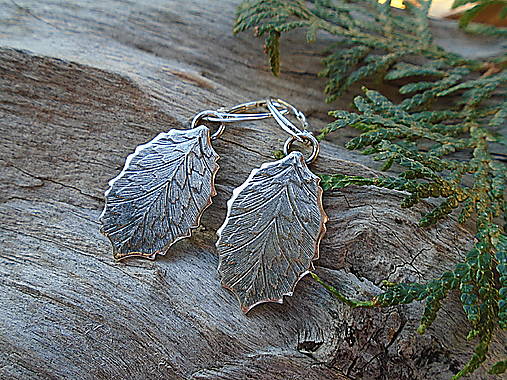 Strieborné náušnice Ag925 Listy