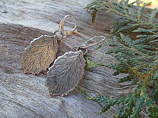 Strieborné náušnice Ag925 Listy