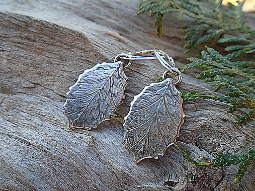 Strieborné náušnice Ag925 Listy
