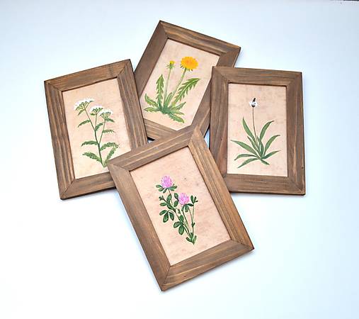 Obrazy - Maľované obrázky - Bylinky - sada 4 kusy - 18134076_