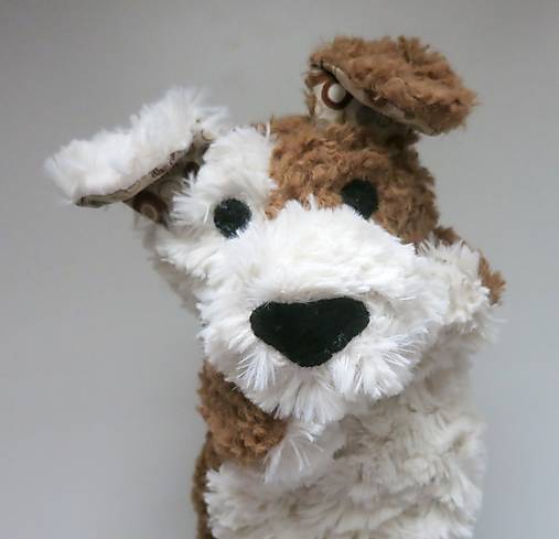 Maňuška psík chlpatý - Smotanovohnedý s krúžkovými uškami