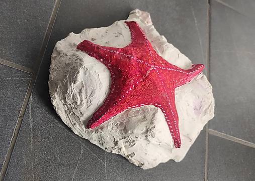 Sochy - Morská hviezdica - 18136500_