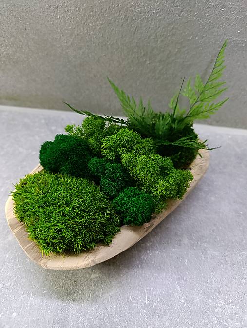 Nádoby - Dekoračná teaková miska so stabilizovanym machom a rastlinami - 18140654_
