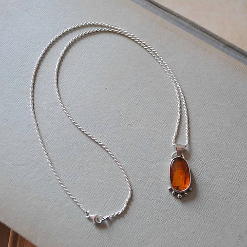 Strieborný prívesok Jantár s muškou