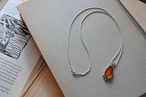 Strieborný prívesok Jantár s muškou