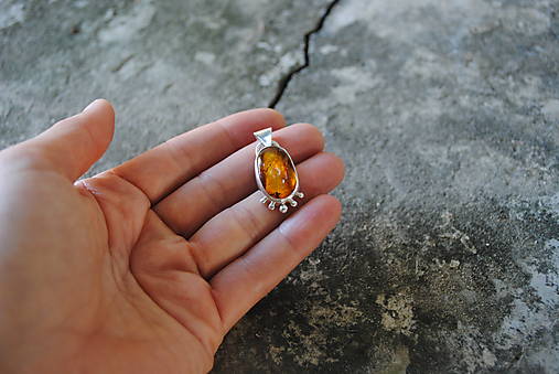 Strieborný prívesok Jantár s muškou