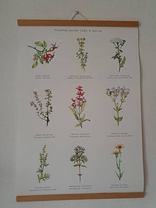 Kresby - Trojica rastlinných plagátov - 18152448_