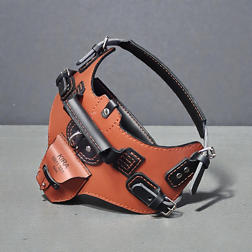 Kožený postroj pre psíka