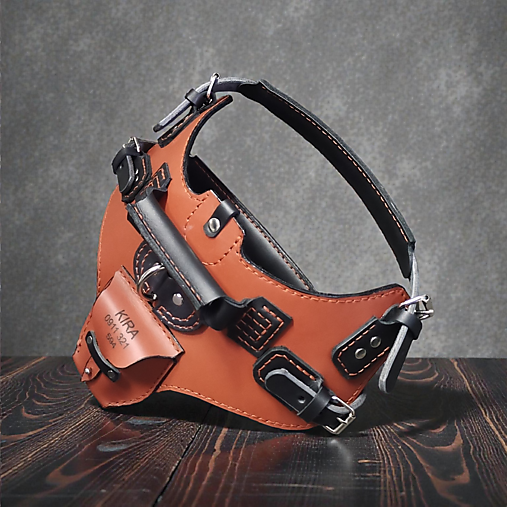 Kožený postroj pre psíka