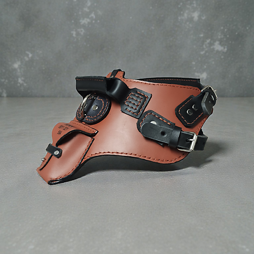 Kožený postroj pre psíka