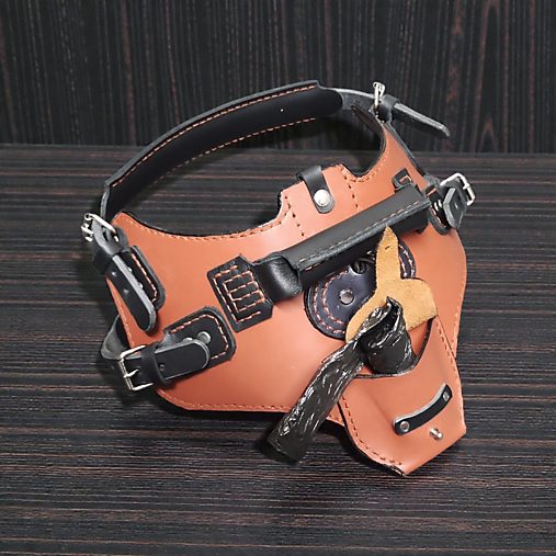 Kožený postroj pre psíka