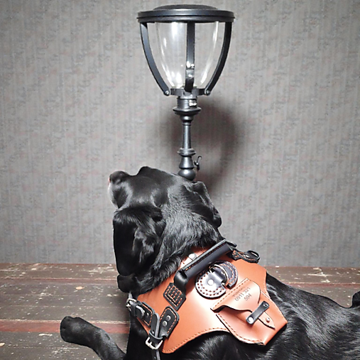 Kožený postroj pre psíka