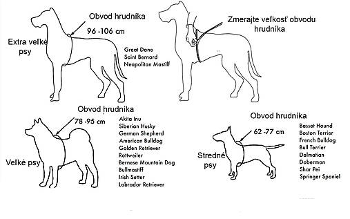 Kožený postroj pre psíka