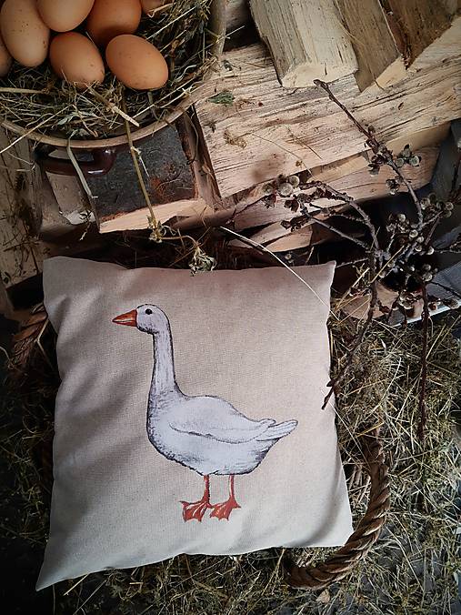 Úžitkový textil - Vankúš hus - 18158628_