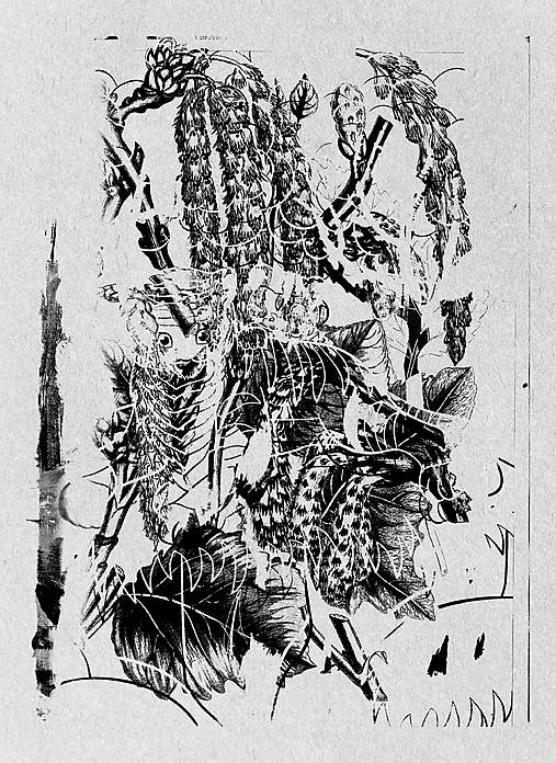Grafika - Levy - 18158454_