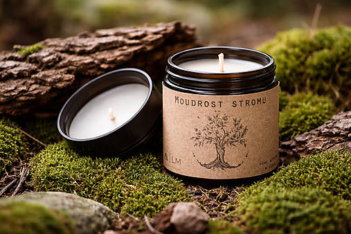 Sviečky - Sójová svíčka - MOUDROST STROMŮ....180 ml - 18166674_