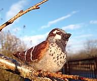 Dekorácie - Vrabčiak špeciálny - 18172635_