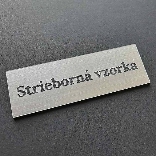 Tabuľky - Drevená menovka na dvere (Strieborná matná-plast) - 18171688_