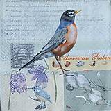 Papier - zvieratká 56 - 18175126_