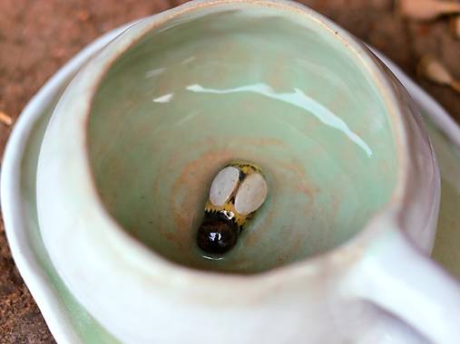 Šálka s podšálkou s včielkami