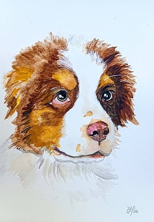 Kresby - portrét šteniatka - 18186452_