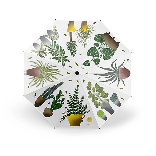 Dlhý dáždnik Rastlinky