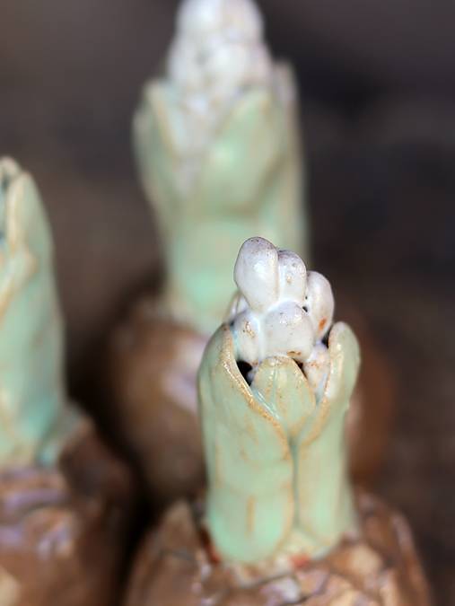 Keramické hyacinty