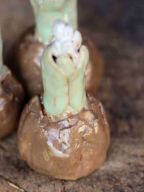 Keramické hyacinty
