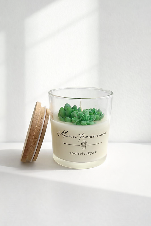 Mini terárium - sójová sviečka