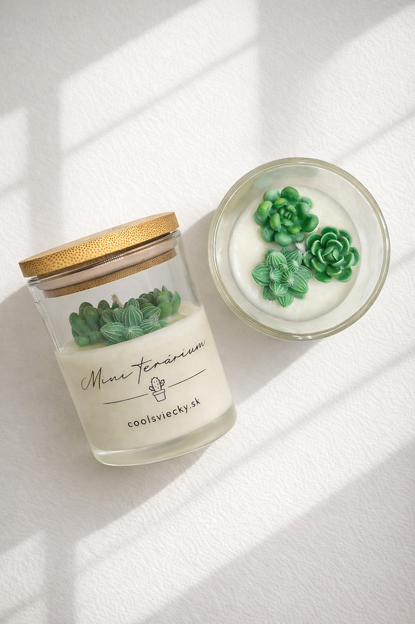 Mini terárium - sójová sviečka