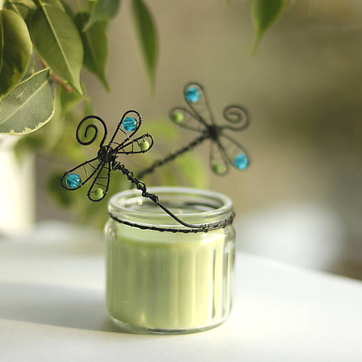 Svietidlá - svietnik s vážkami - 18196296_