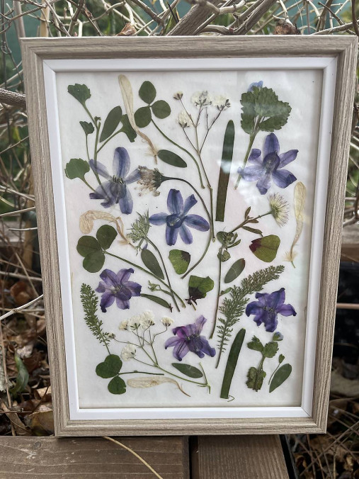 Jemné voňavé hyacinty