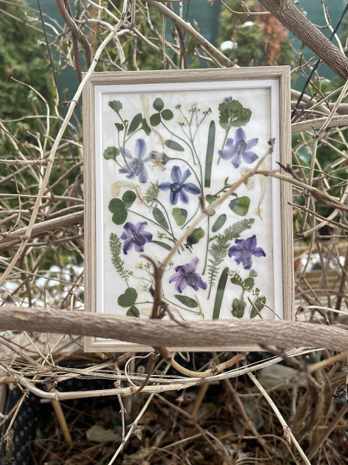 Jemné voňavé hyacinty