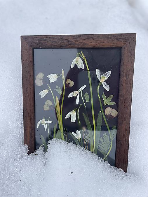 Snežienkový obrázok