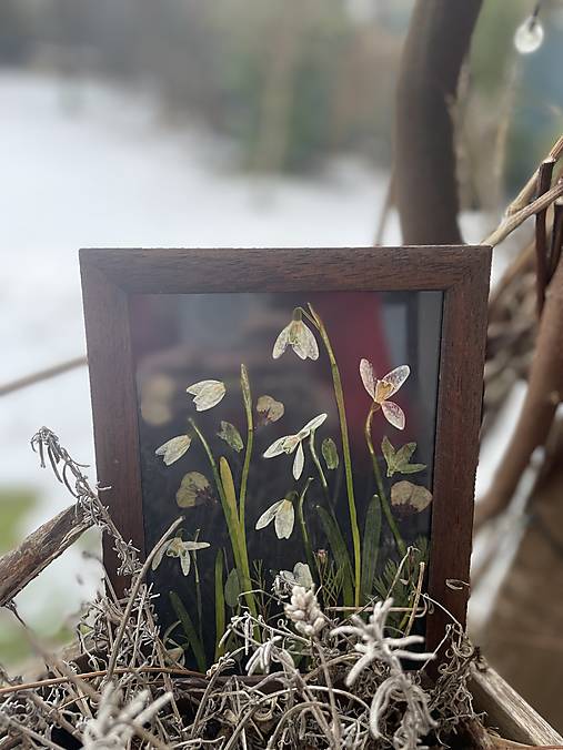 Snežienkový obrázok