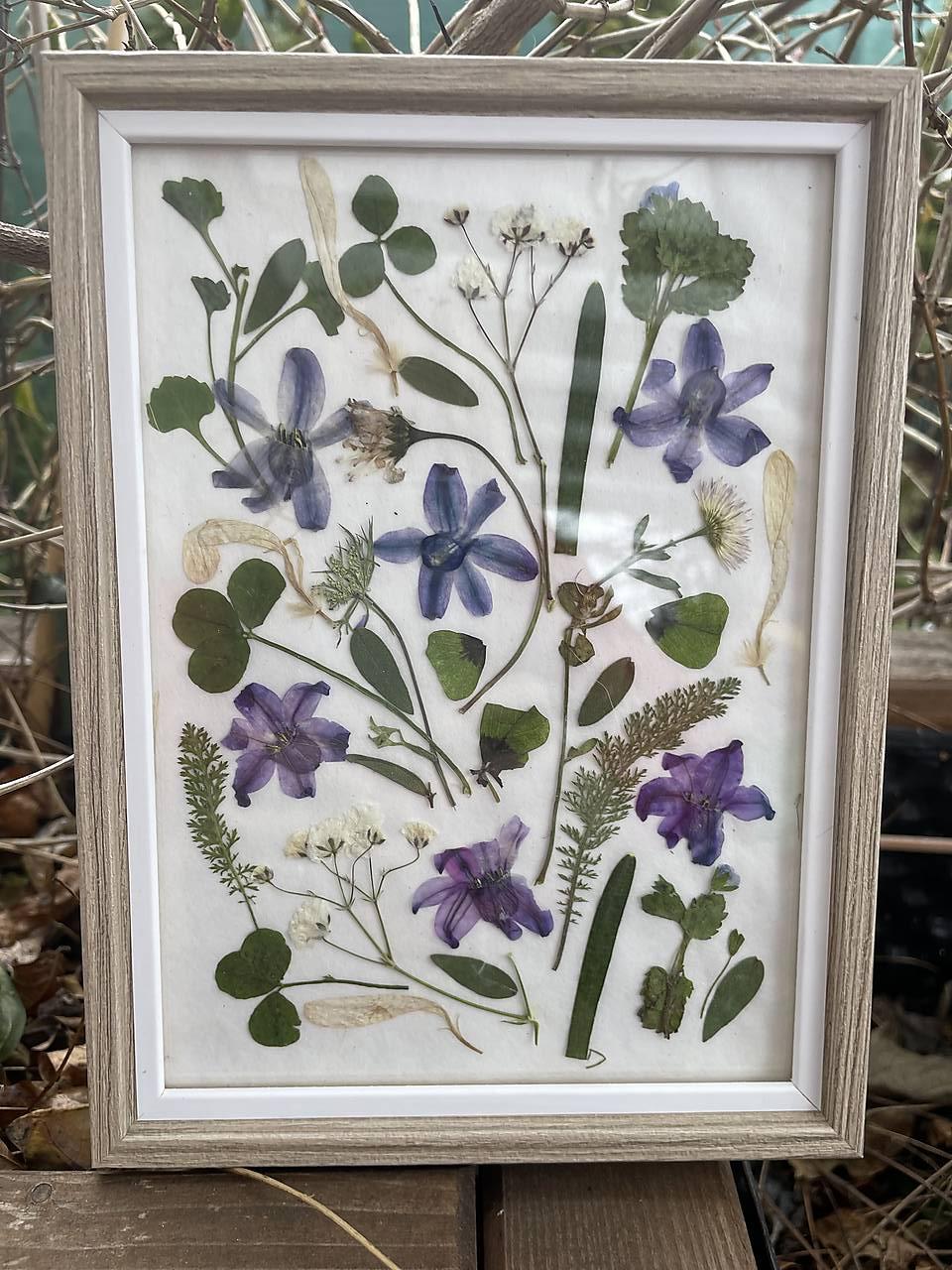 Jemné voňavé hyacinty