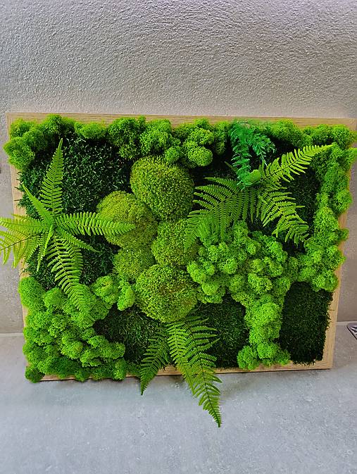 Obrazy - Machovy stabilizovany kombinovany obraz - 18197051_