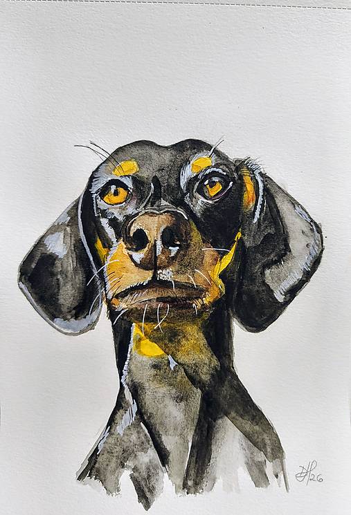 Kresby - portrét jazvečíka krátkosrstého - 18198219_