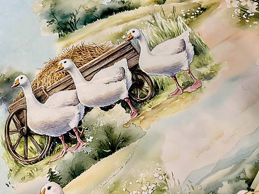 100%  3 D BAVLNA DEKOR/ HUSKY NA DVORE